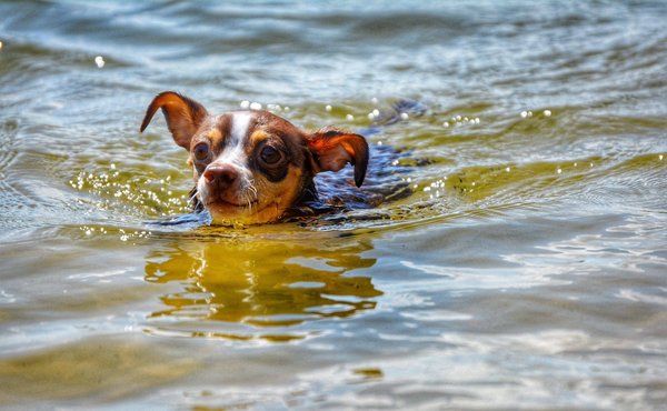 Comment démarrer une carrière d'écrivain indépendant ?